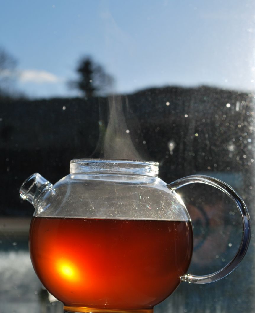 TEA OF THE MONTH - CHAI - NICE AND SPICY