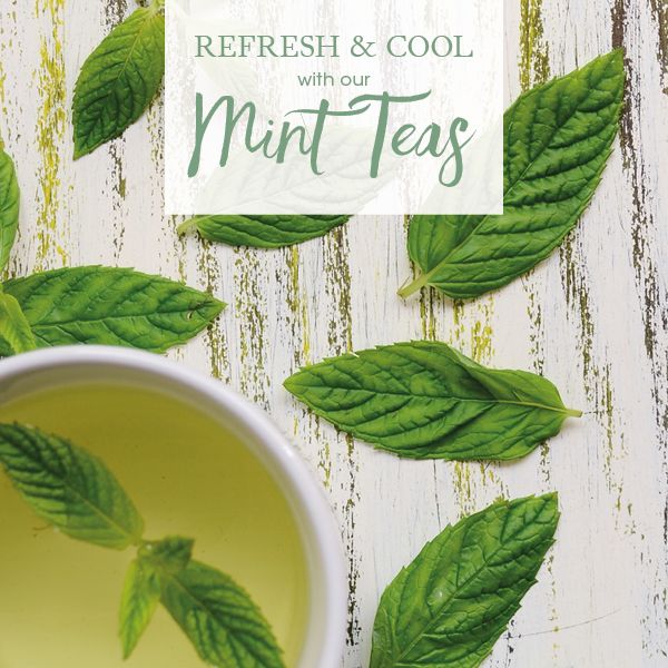 Refresh and Cool with our Mint Teas