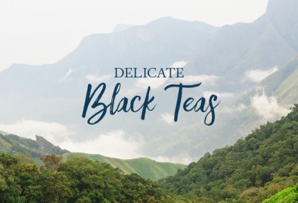 Darjeeling Teas in Short Supply