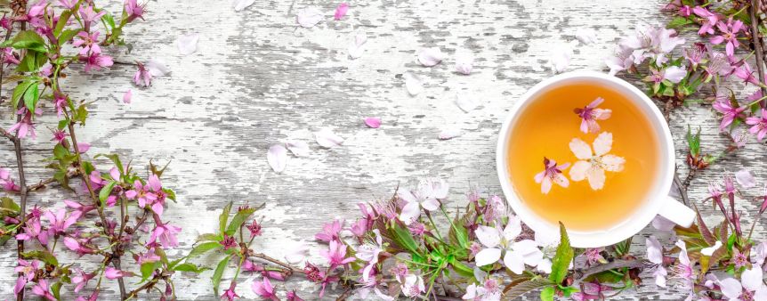 Celebrate Spring with a Cup of White Tea! 