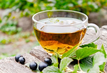 NEW Colombian Sun + Flavoured Green Teas to try