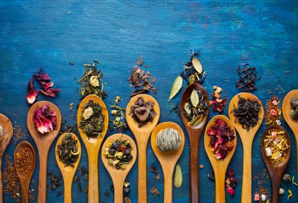 Our Favourite Herbal & Rooibos Teas 