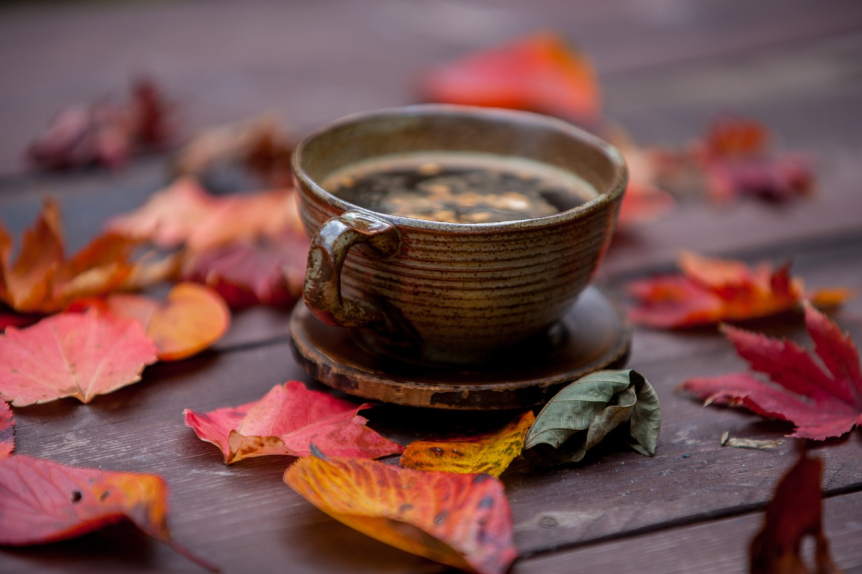 Pumpkin Spice Everything: The Origins and Rise of the Iconic Autumn Blend