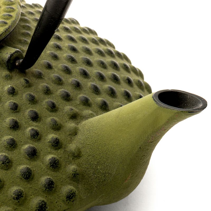 Green Xilin Cast Iron Teapot 0.8L Japanese Teapot Cup of Tea