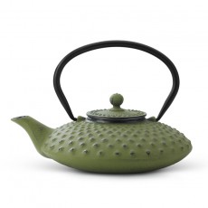 Xilin Cast Iron Teapot Set Green Teapot & Cups 0.8L