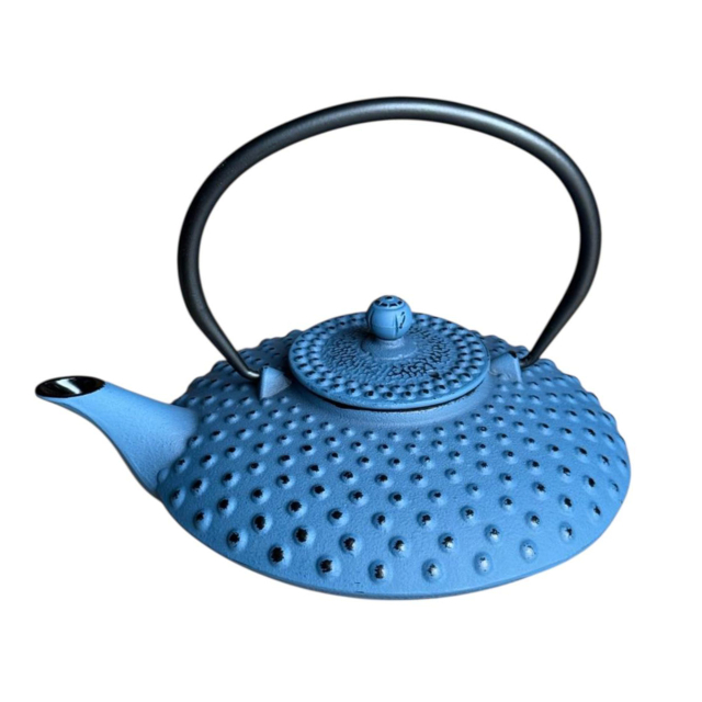 Xilin Cast Iron Teapot Light Blue 0.8L