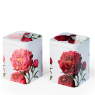 Peonia Tea Caddies Set of Two 100g
