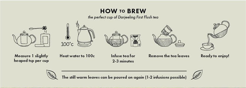 How to brew first flush teas