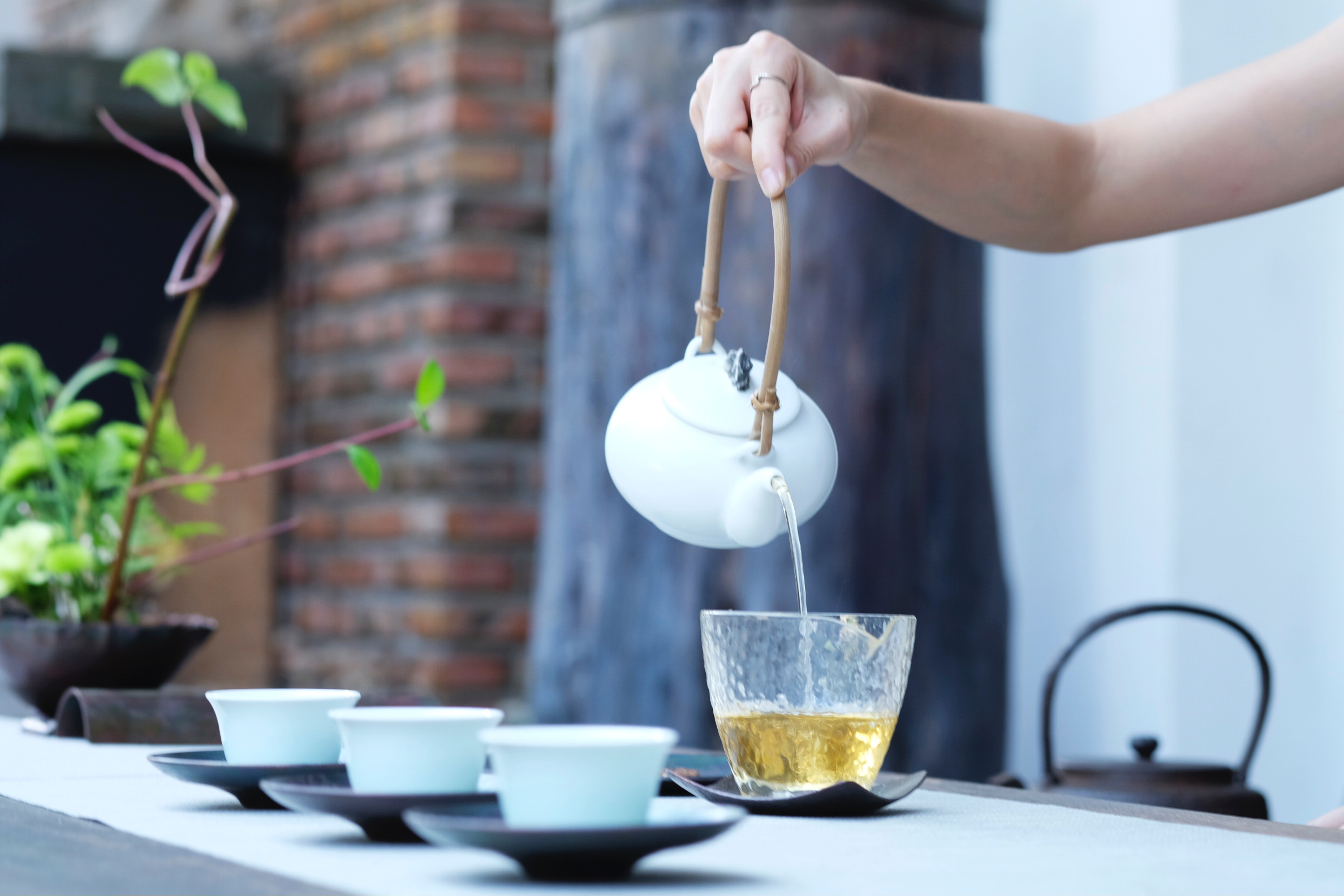 How to Brew White Teas
