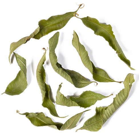 Verbena loose leaf tea