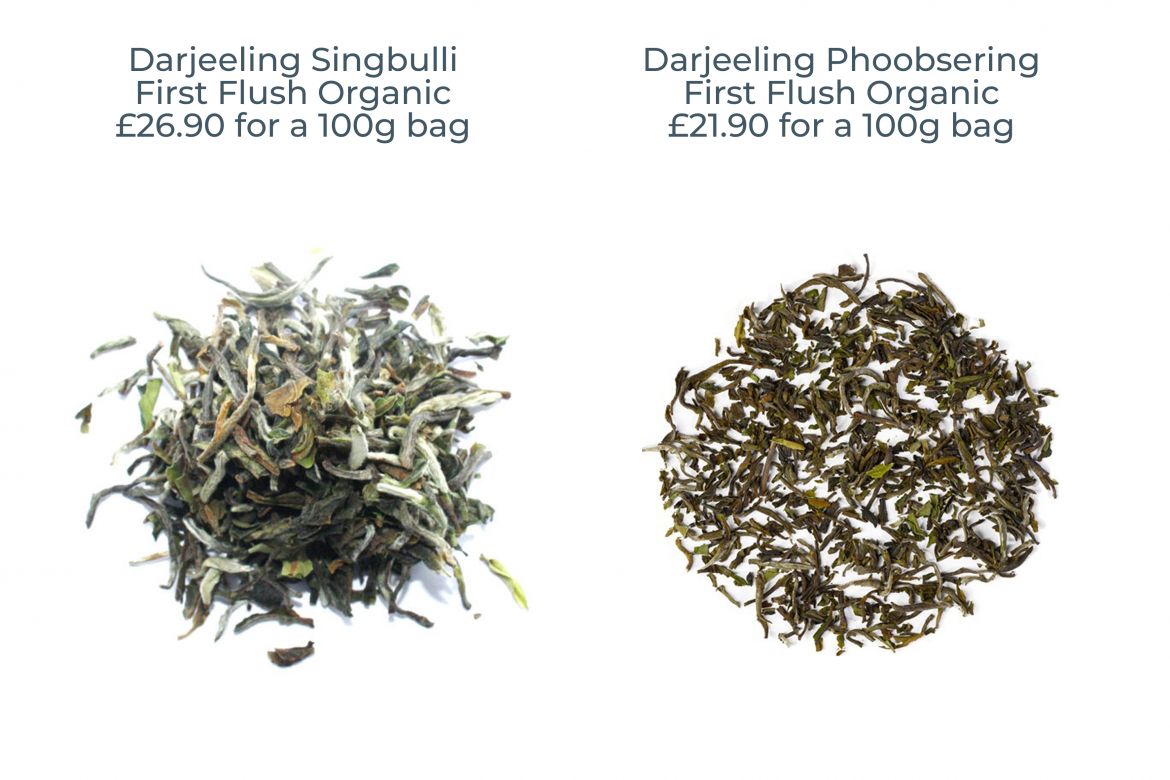 Darjeeling Singbulli First Flush Organic and Darjeeling Phoobsering First Flush Organic